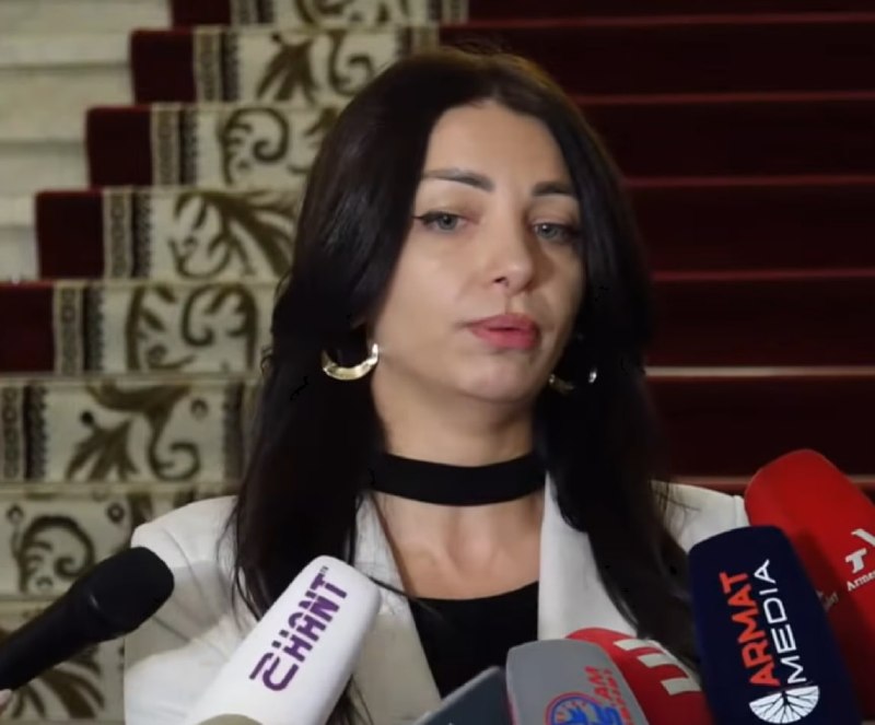Заседание правления партии «Гражданский договор» в Ереване, Давташен