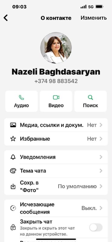 Назели Багдасарян на брифинге в Ереване