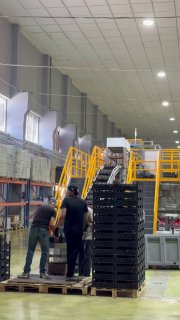 Черешня на конвейере сортировочного оборудования в Армении, Давташен