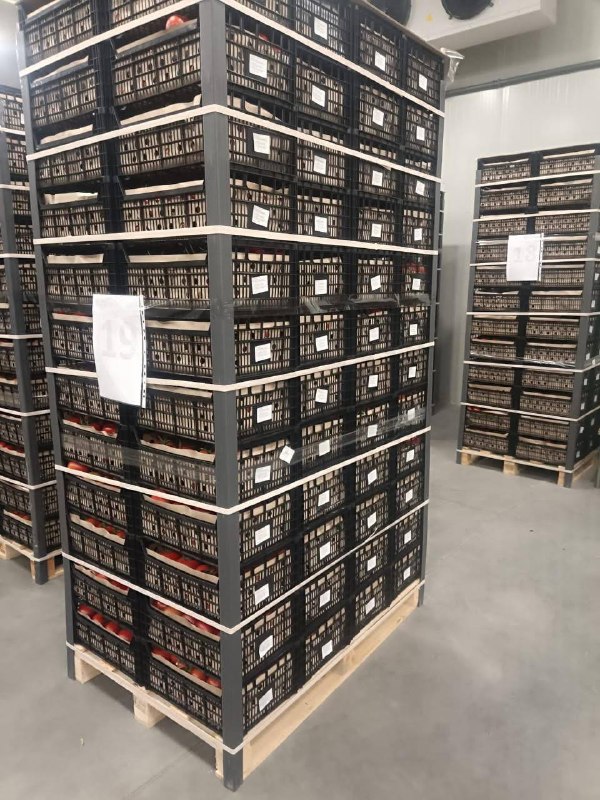 Армянская сельхозпродукция начала поступать в Грузию: что известно в Давташене