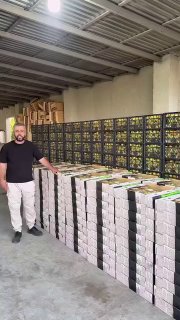 Отправка первой партии армянских абрикосов в Сингапур компанией Davtyan Farms из Давташена