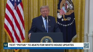 Дональд Трамп выступает с заявлением о вмешательстве Китая в выборы