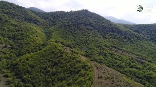 Армейские игры в Давташене: участники соревнований силовых структур