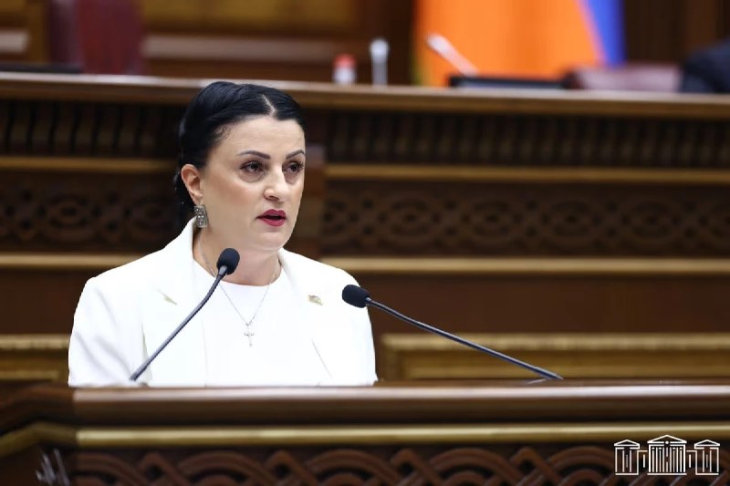 Ирина Йолян не избрана председателем комиссии НС в Давташене