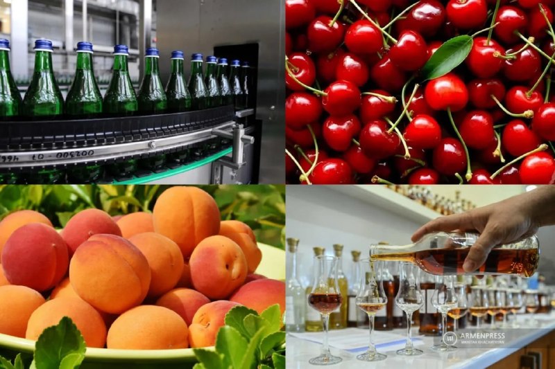 Минсельхоз РФ назвал условия снятия ограничений на импорт армянской продукции