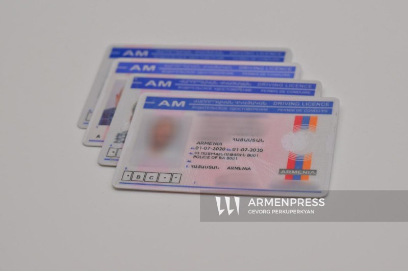 Заседание правительства Армении, министр Арпине Саргсян, Давташен