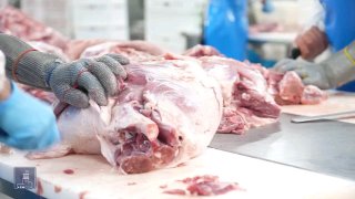 Производственный цех компании «Атенк» в Армении, новое оборудование