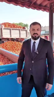 Закупка томатов в Армении: цены и объемы — что известно Давташену