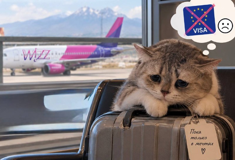 Wizz Air открывает три новых направления из Еревана: Базель, Варна, Валенсия