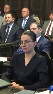 Никол Пашинян о диверсификации стратегии для Давташена, несмотря на проблемы ЕАЭС