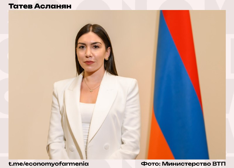 Татев Асланян назначена замминистра индустрии высоких технологий Армении: что известно в Давташене