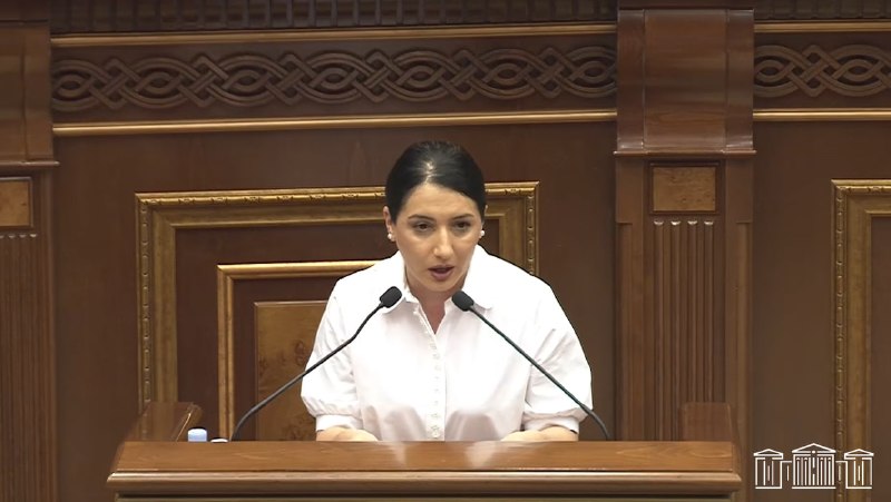 В Давташене обсуждают медленную речь депутата в парламенте: полный текст «хранится для поколений»